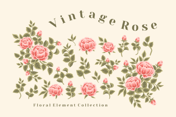 Download Vintage Rustic Rose and Peony Flower Set - Rustic rose Collection